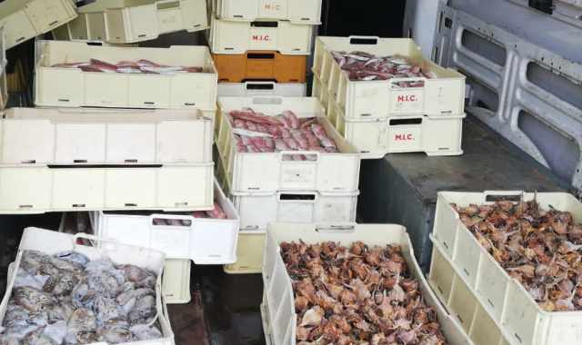 Bari, Polizia sequestra 800 kg di pesce: donati alle famiglie bisognose